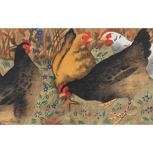 Les poules